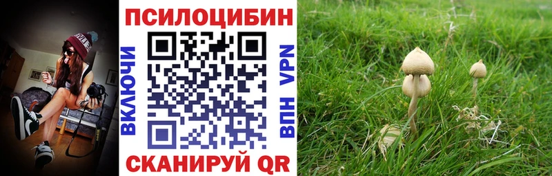 Псилоцибиновые грибы прущие грибы  Купить закладки  Приморск 