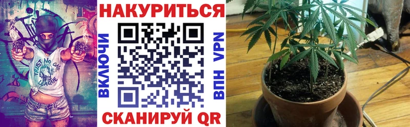 Купить закладки  Приморск  Бошки марихуана OG Kush 